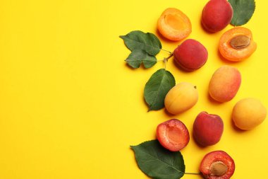 Sarı arka planda bir sürü taze kayısı ve yeşil yaprak var. Metin için boşluk