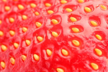 Arka plan olarak taze olgun çilek, makro görünüm