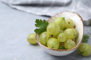 Gri masada kasede taze bektaşi üzümü, yakın plan. Metin için boşluk