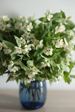 Güzel yasemin çiçekleri vazonun içinde, masa içinde, yakın plan.