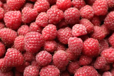 Arka plan olarak pek çok taze ahududu, üst görünüm