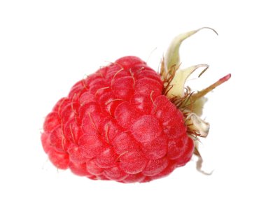 Taze olgun bir ahududu beyaza izole edilmiş.