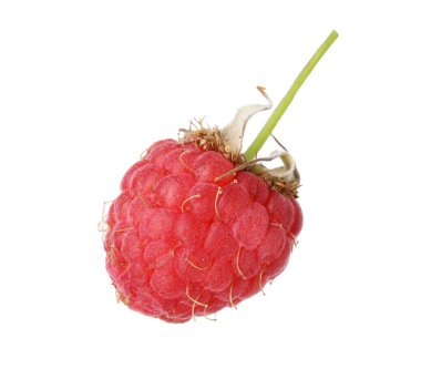 Taze olgun bir ahududu beyaza izole edilmiş.