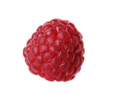 Taze olgun bir ahududu beyaza izole edilmiş.