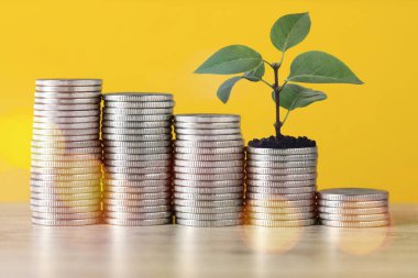 Tasarruf kavramı. Yığınla bozuk para ve yeşil filiz, turuncu arka planda.