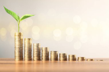 Tasarruf kavramı. Bozuk para yığınları ve yeşil filizler hafif arkaplan, bokeh etkisi