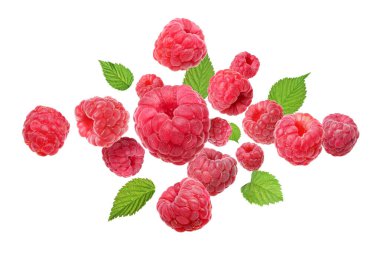 Beyaz arka planda uçuşan taze ahududu ve yeşil yapraklar