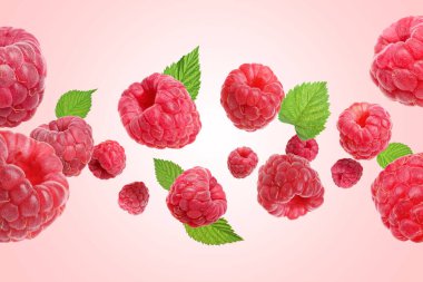 Pembe arka planda uçuşan taze ahududu ve yeşil yapraklar.