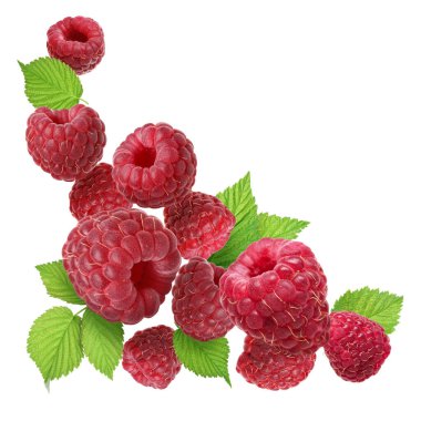 Beyaz arka planda uçuşan taze ahududu ve yeşil yapraklar