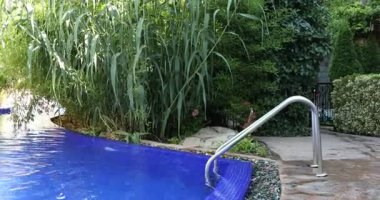 Açık havuz, merdiven ve yeşil bitkiler.