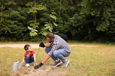 Baba ve oğlu dışarıda toprağa ağaç dikiyorlar. Yazmak için yer var.