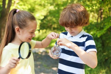 Çocuklar doğada büyüteçle salyangozla kavanoza bakıyorlar.