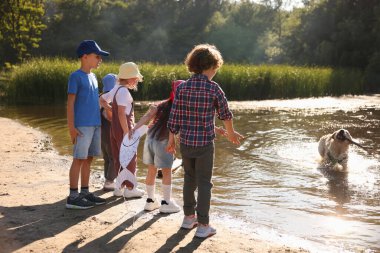 Doğada tahta sopalı çocuklar ve köpekler