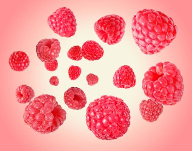 Pembe eğimli arka planda havada dönen taze ahududu.