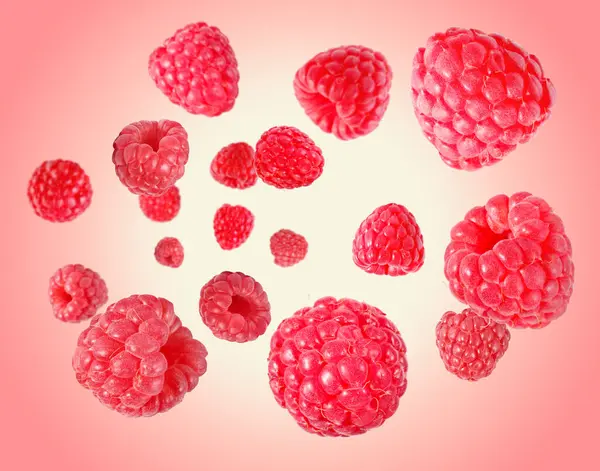 Pembe eğimli arka planda havada dönen taze ahududu.