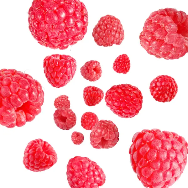 Beyaz arka planda havada dönen taze ahududular.