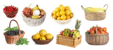 Taze meyveler, böğürtlenler ve mısır hasır sepetlerde, beyaza izole edilmiş,