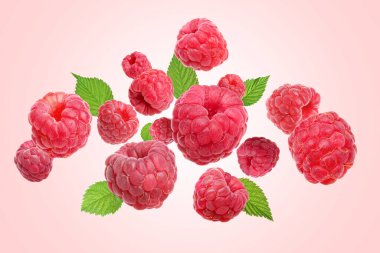 Pembe arka planda uçuşan taze ahududu ve yeşil yapraklar.