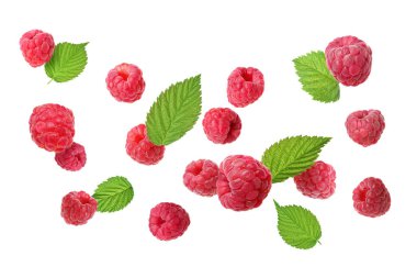 Beyaz arka planda uçuşan taze ahududu ve yeşil yapraklar