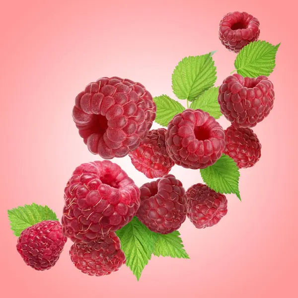 Pembe arka planda uçuşan taze ahududu ve yeşil yapraklar.