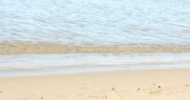 Güzel dalgalı deniz ve kumlu sahil.