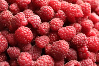 Arka plan olarak pek çok taze ahududu, üst görünüm