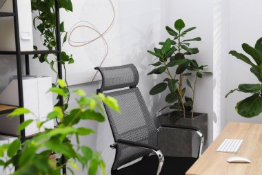 Biyofilik iç tasarım. Ofisinde ahşap masa, sandalye ve ev bitkileri olan şık bir iş yeri.