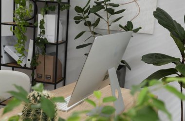 Biyofilik iç tasarım. Ofisinde bilgisayar ve ev bitkileri olan şık bir iş yeri