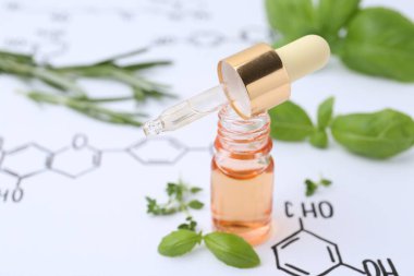 Farklı otlar ve kimyasal formüllü kozmetik ürünler, yakın plan.