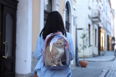 Sırt çantasındaki kedisiyle şehir caddesinde, arka manzaralı bir kadın.