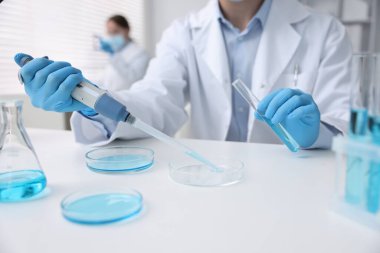 Tıbbi analiz. Laboratuvarda numuneyle çalışan bilim adamı, seçici odaklanma