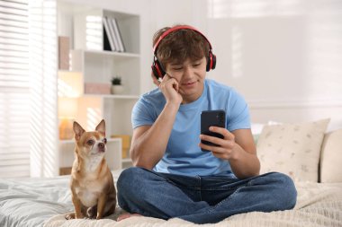 Kulaklık takan genç çocuk evde akıllı telefon ve köpek kullanıyor.