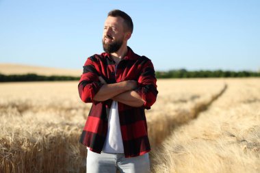 Olgun buğdaylı tarlada çiftçi
