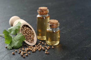 Şişelerdeki Aromatik yağ, kişniş yaprakları ve koyu dokulu masada kişniş tohumları, yakın çekim