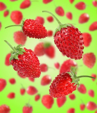 Taze olgun yabani çilekler yeşil eğimli arka planda