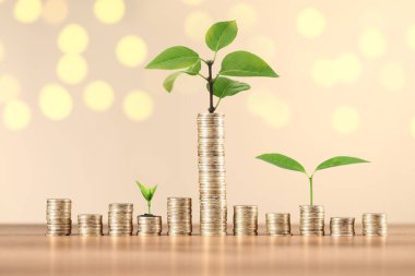 Tasarruf kavramı. Yığılmış paralar ve yeşil filizler bej arka plan, bokeh etkisi