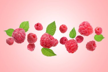 Pembe arka planda uçuşan taze ahududu ve yeşil yapraklar.