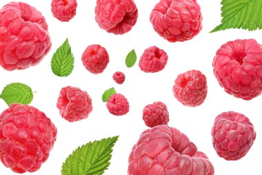 Beyaz arka planda uçuşan taze ahududu ve yeşil yapraklar