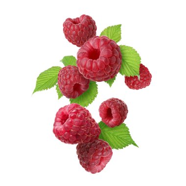 Taze ahududu ve yeşil yapraklar beyaz arka plana düşüyor