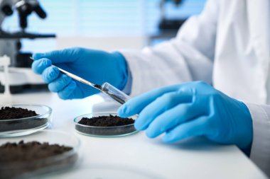 Bilim adamı, laboratuardaki beyaz masada araştırma yapmak için toprak örneği alıyor.
