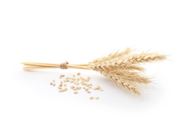 Beyaza izole edilmiş buğday ve tahıl başakları