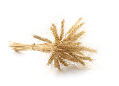 Kurumuş buğday başakları beyaza izole edilmiş.