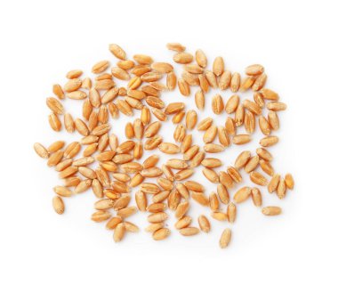 Birçok olgun buğday taneleri beyaz, üst görünümde izole