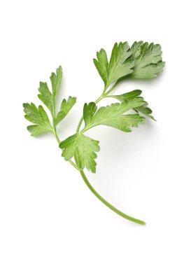 Beyaz maydanozlu taze maydanoz.