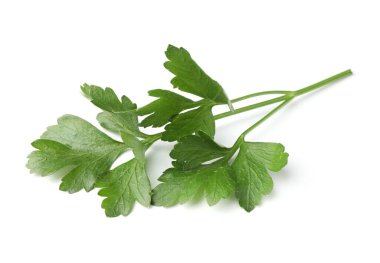 Beyaz maydanozlu taze maydanoz.