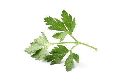 Beyaz maydanozlu taze maydanoz.