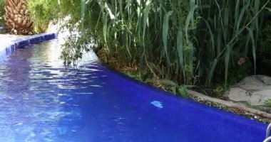 Açık yüzme havuzu, temiz su ve yeşil bitkiler, yakın çekim.