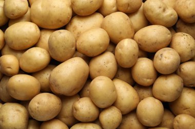 Arka plan olarak taze çiğ patates, üst manzara.