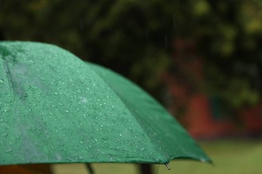 Sağanak yağmur altında yeşil şemsiye, yakın çekim. Metin için boşluk