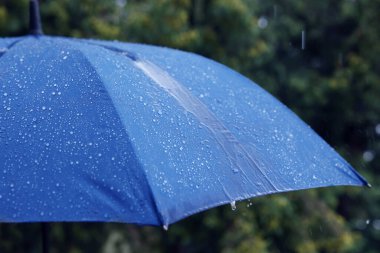 Sağanak yağmur altında mavi şemsiye, yakın çekim.
